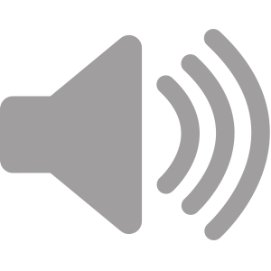 Screen with audio out
